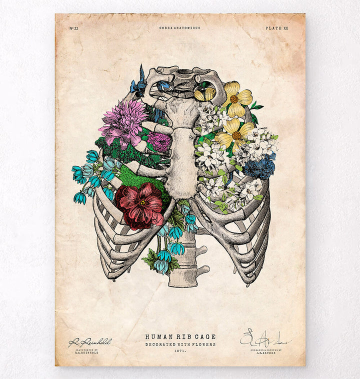 Art Tagged - – Prints Anatomicus Anatomy Art Codex Floral - \
