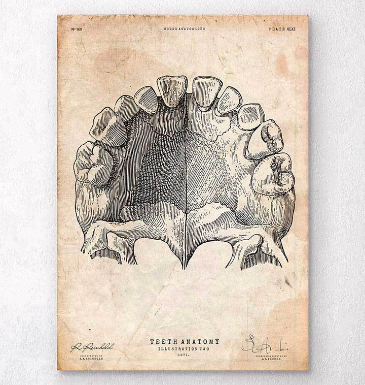 Carte de vœux for Sale avec l'œuvre « Récupération rapide après une  chirurgie dentaire Dent parlante » de l'artiste KateTaylor
