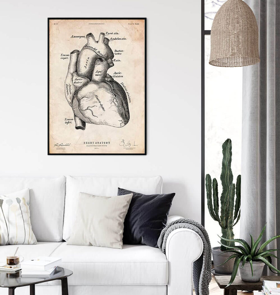 Vintage anatomy poster of the anatomical heart