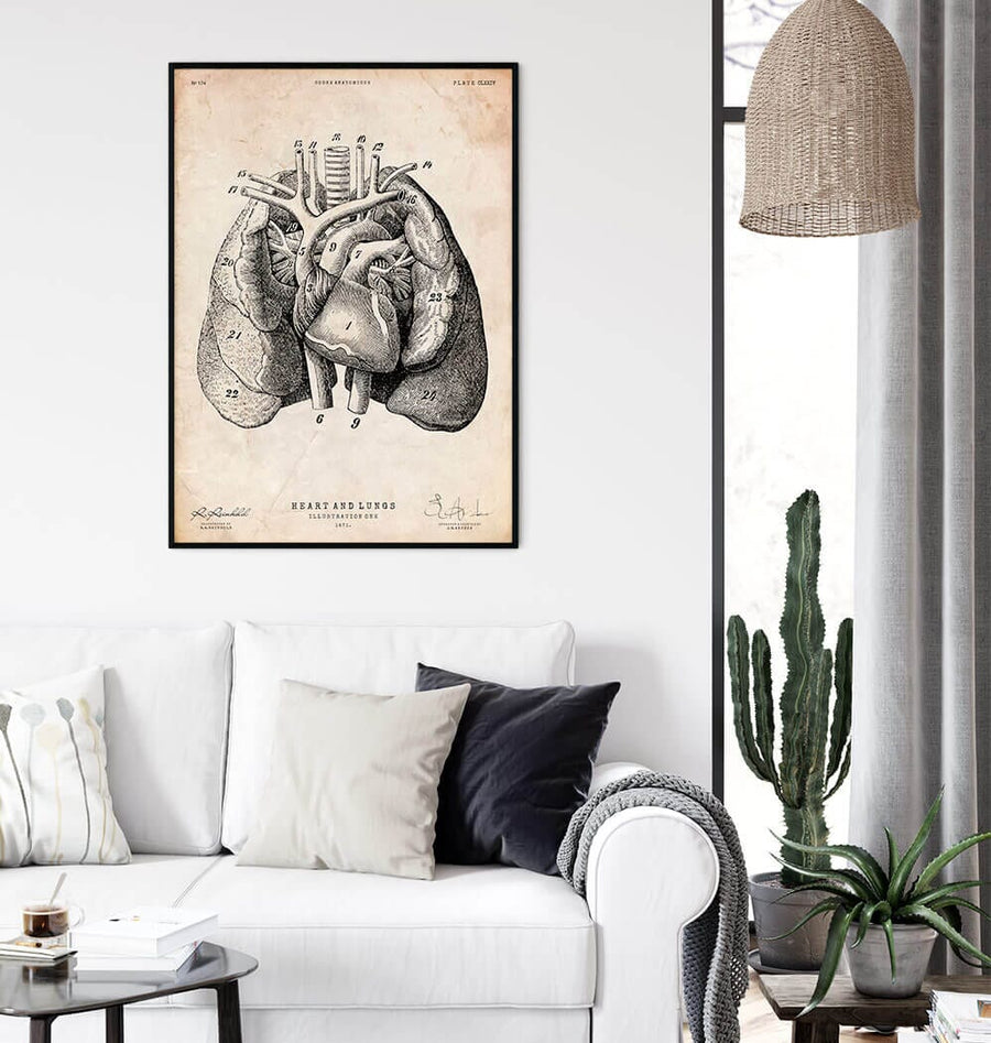 Heart and Lungs anatomy art I vintage poster