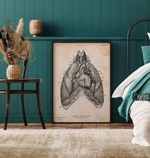 Heart and Lungs anatomy art 