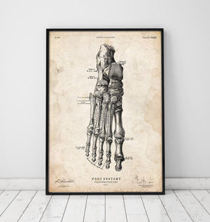 Foot anatomy art print II vintage poster