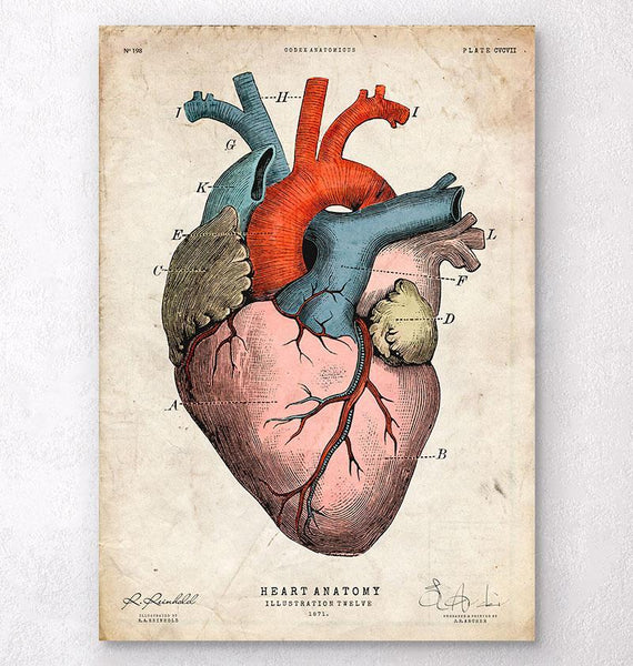 Art Supplies Heart Art Print by RodenandCo