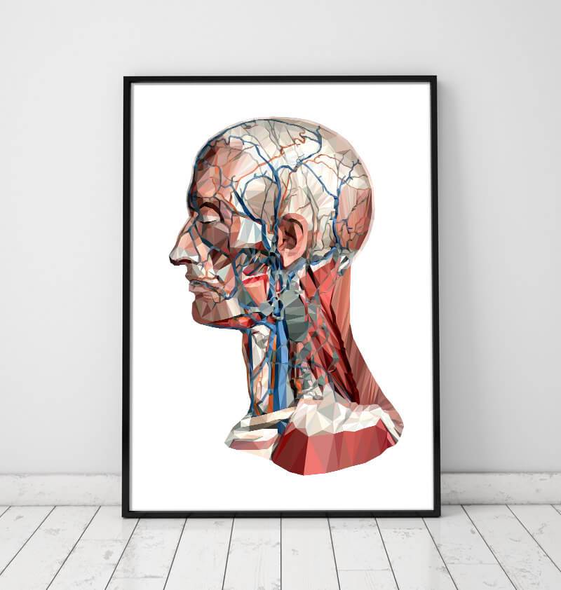 Geometrical head anatomy poster