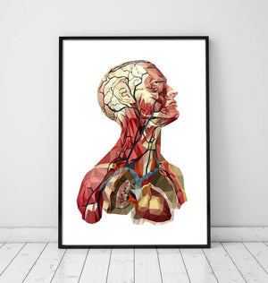 Anatomical head poster by codex anatomicus
