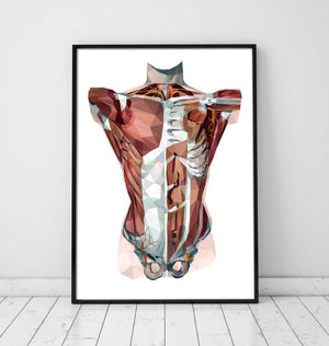 Geometrical torso anatomy art print