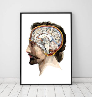 Geometrical head and brain anatomy poster