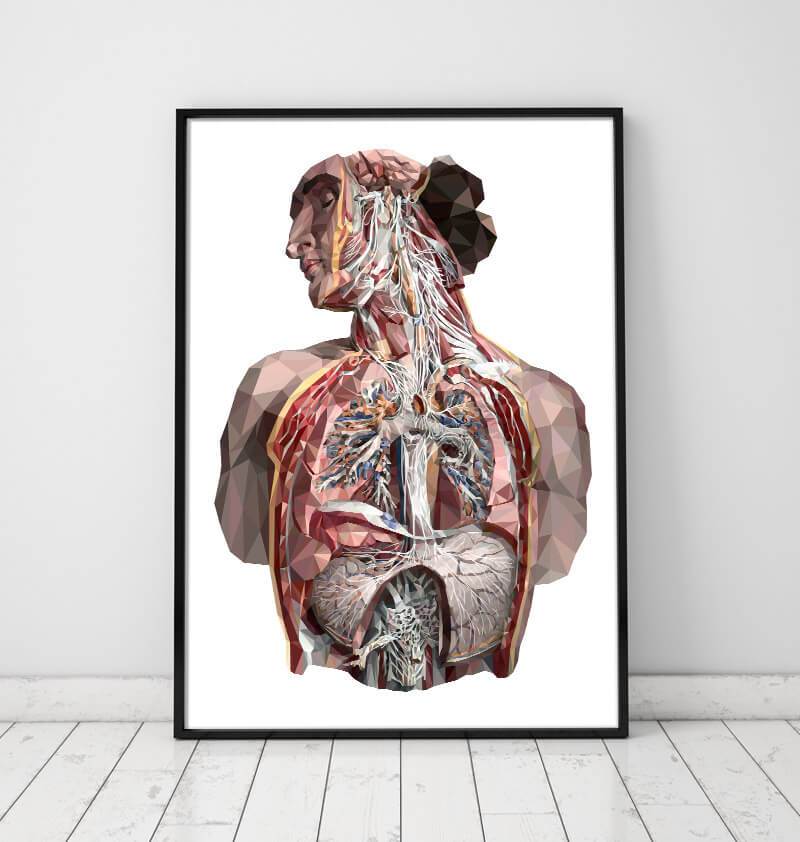 Geometrical human anatomy art