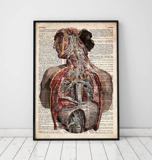 Human anatomy dictionary art print