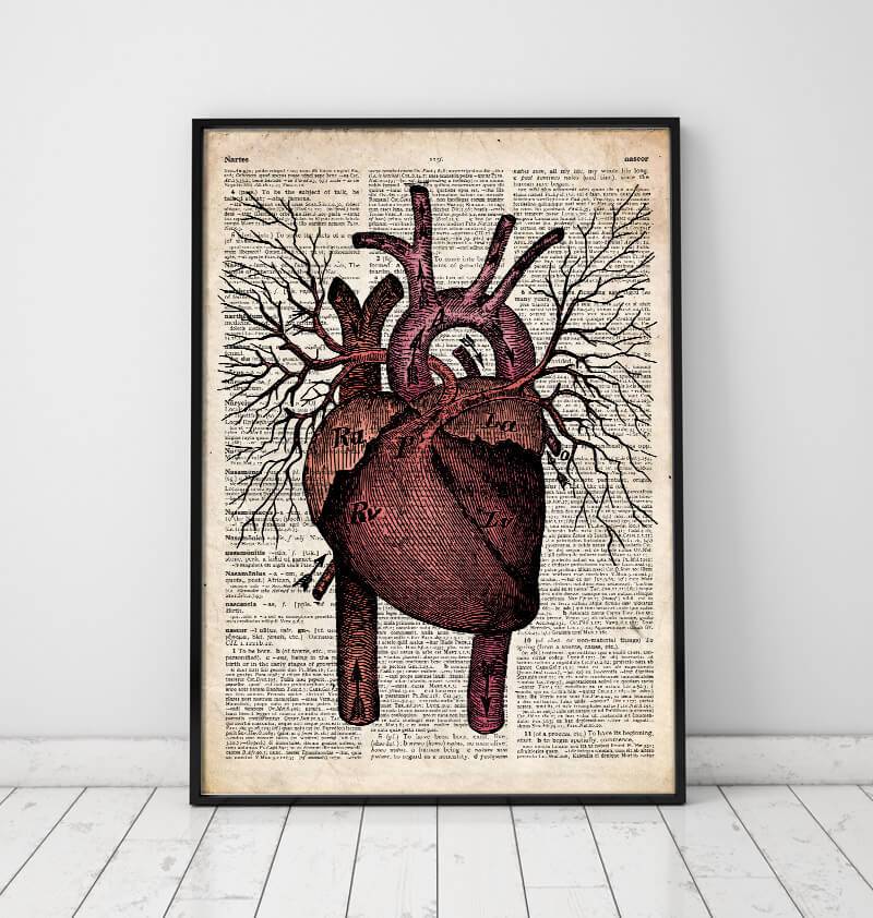 Heart anatomy dictionary art print – Codex Anatomicus