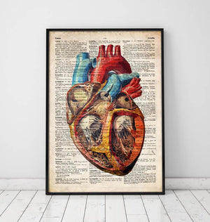 Geometric heart anatomy - Old dictionary page