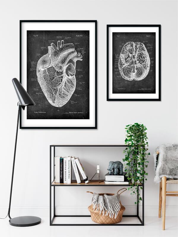 Heart anatomy art poster