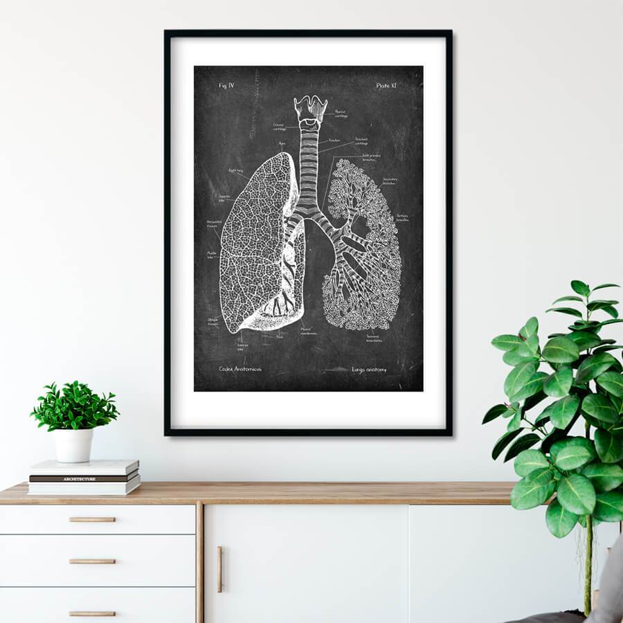 lungs chalkboard anatomy poster by codex anatomicus