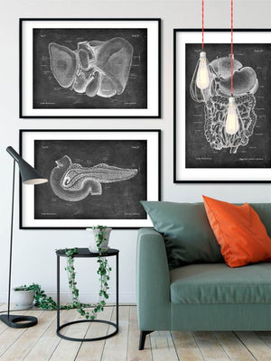 Pancreas anatomy - Chalkboard