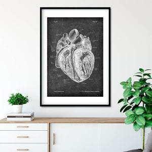 Anatomical heart drawing on chalkboard texture