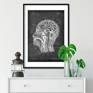 Head section and brain anatomy chalkboard poster in a frame