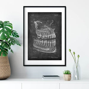 Teeth and jaws Chalkboard anatomy poster by Codex Anatomicus