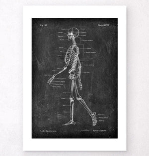 Skeleton poster