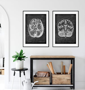 Brain anatomy labeled poster