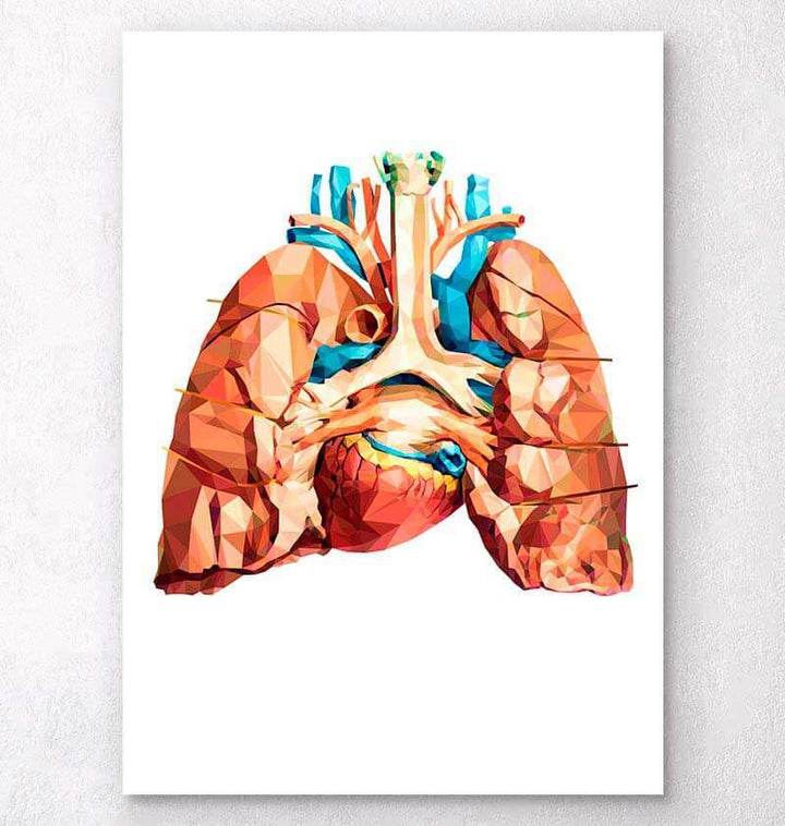 Geometrical heart and lungs art