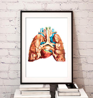 Geometrical heart and lungs anatomy art