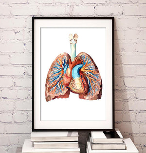 Geometrical Heart and lungs anatomy art poster by codex anatomicus