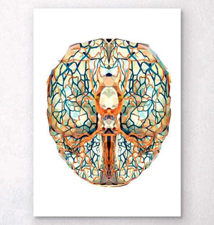 Geometry Brain Geometrical brain anatomy art - Codex Anatomicus