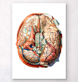 Geometrical brain anatomy art