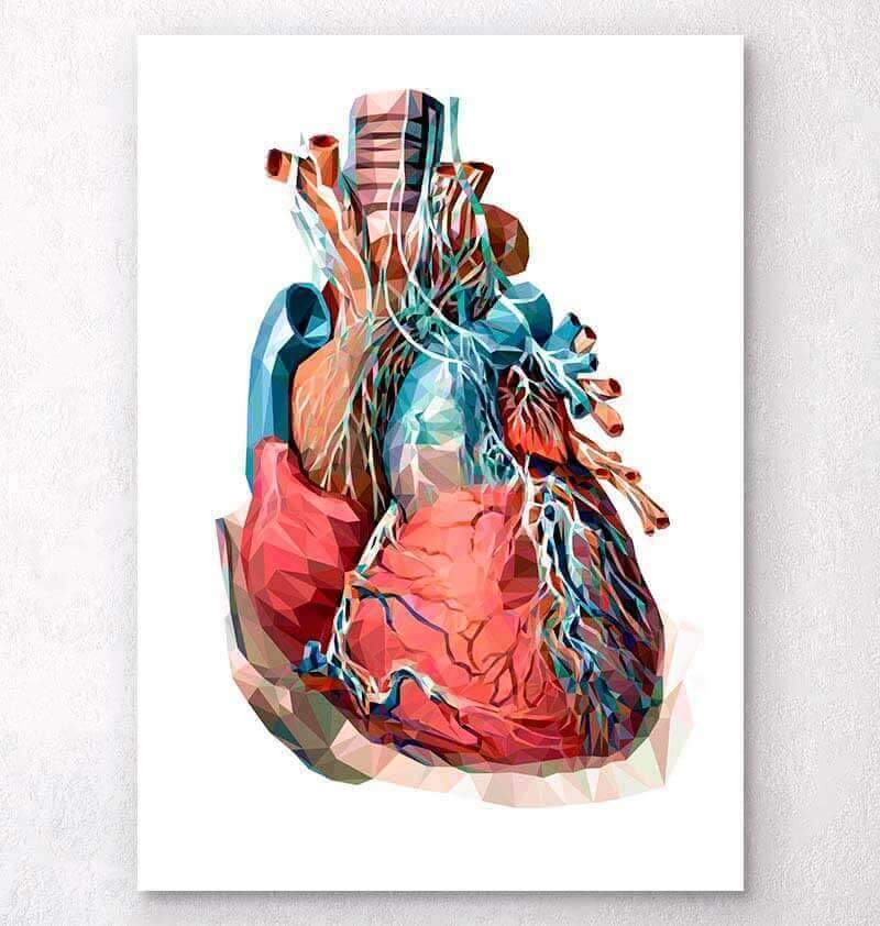 Geometrical heart anatomy III