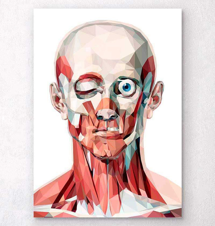 Geometrical anatomy poster
