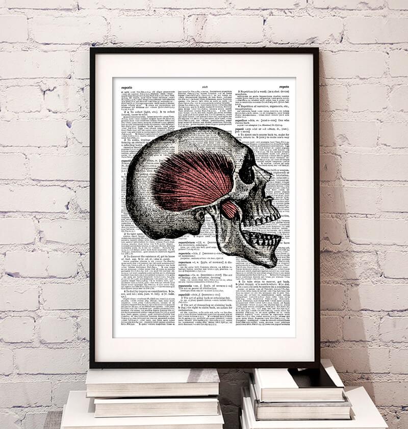 Skull anatomy dictionary art print