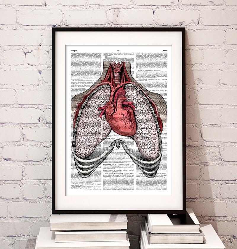 Heart and lungs anatomy dictionary art print