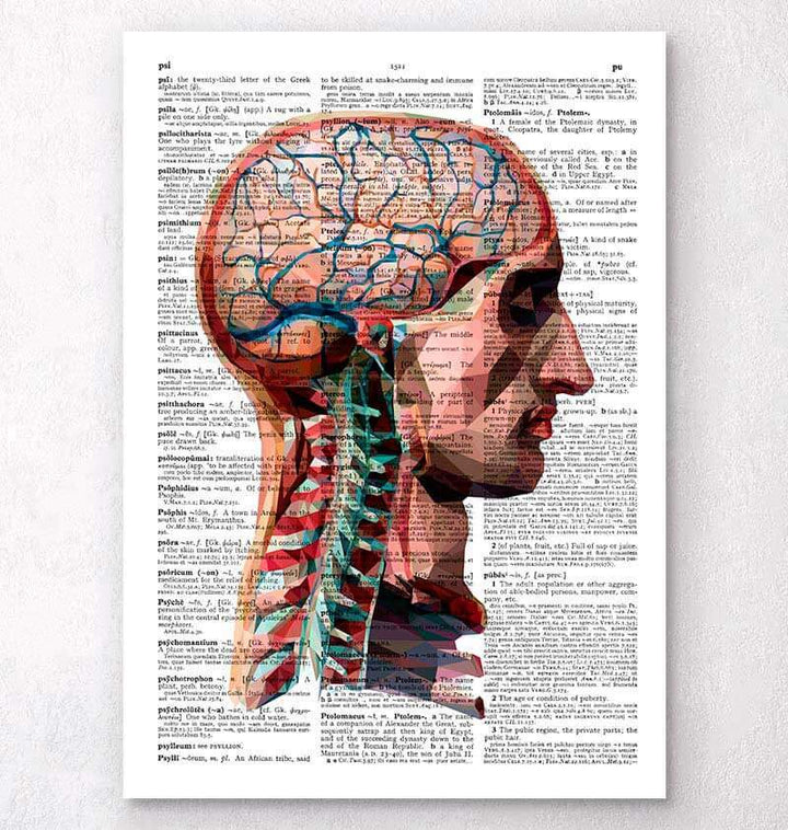Head and brain dictionary art print