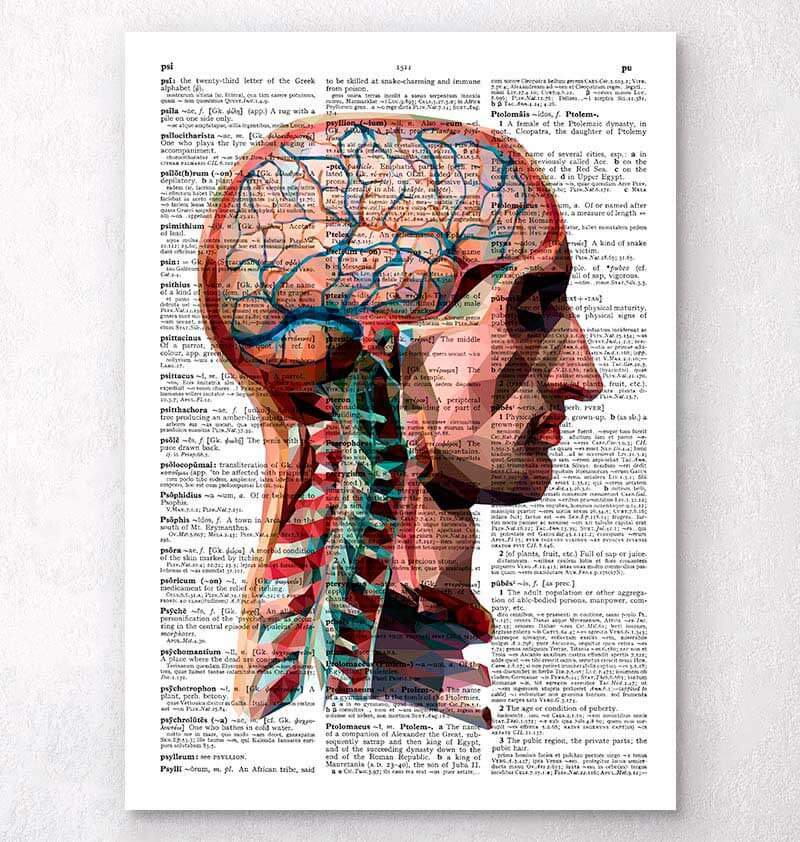 Head and brain dictionary art print