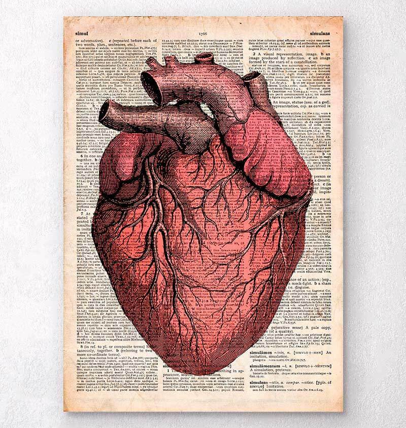 Heart anatomy dictionary art print - Codex Anatomicus