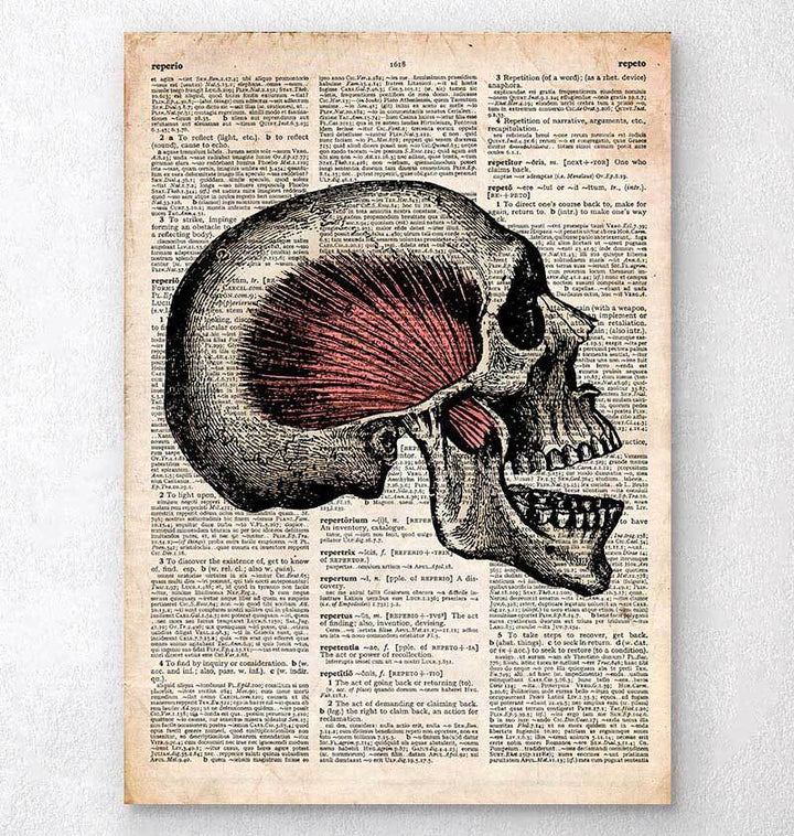 Skull dictionary art print