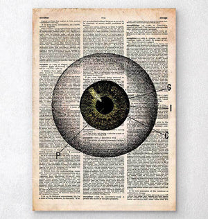 Eye anatomy - Old dictionary page