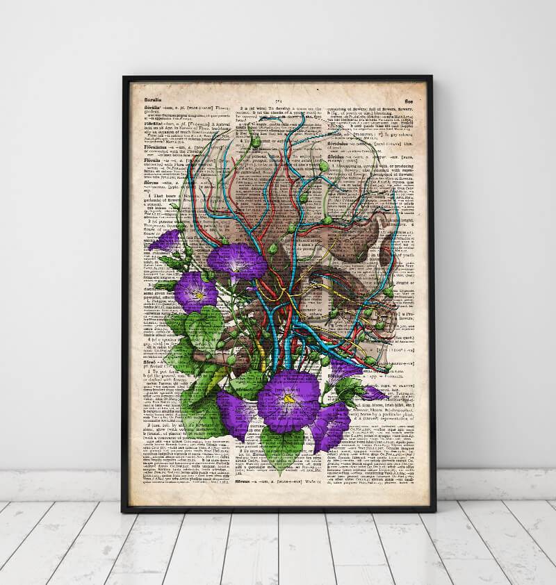 Skull with flowers anatomy poster
