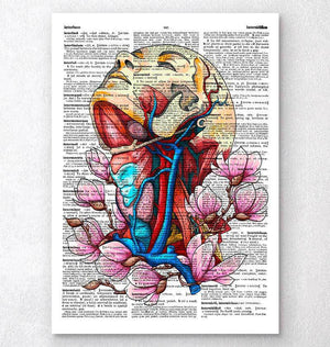 Head, neck and arteries dictionary print