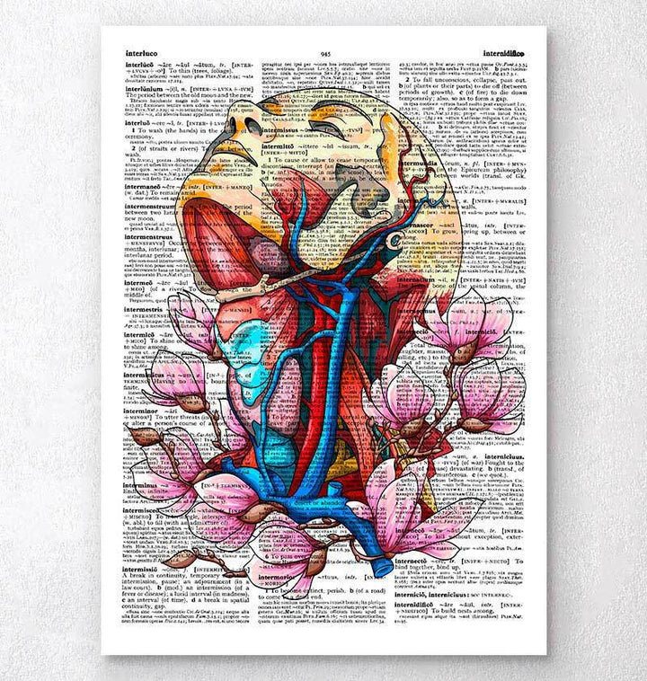Head, neck and arteries dictionary print