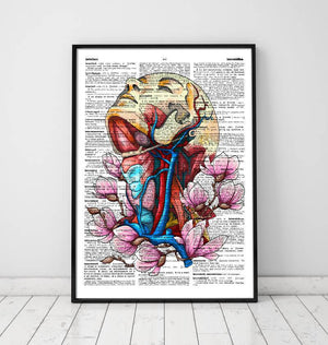 Head, neck and arteries medical poster on dictionary paper