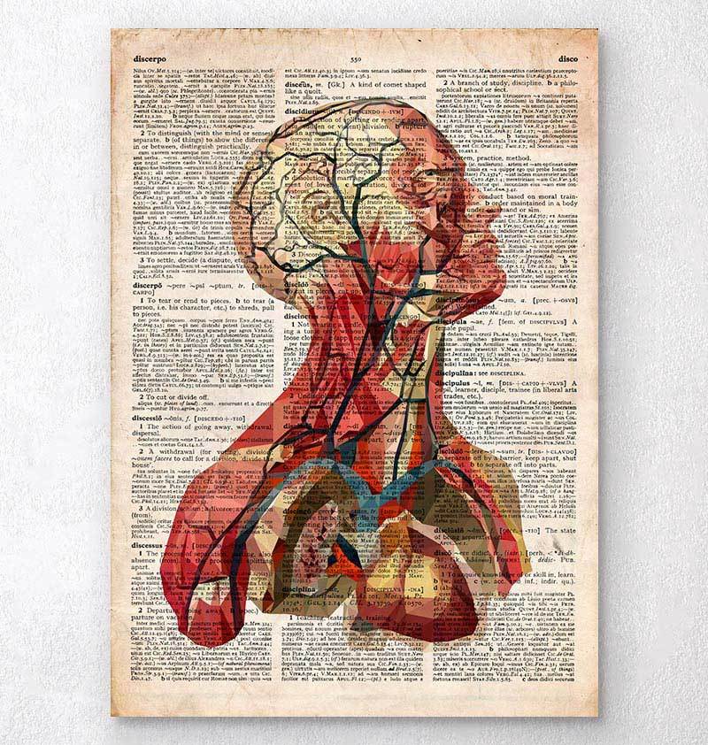 Geometric head anatomy II - Old dictionary page - Codex Anatomicus