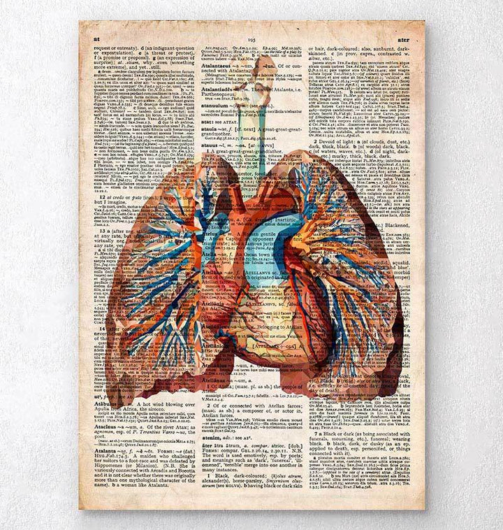 Heart and lungs dictionary print