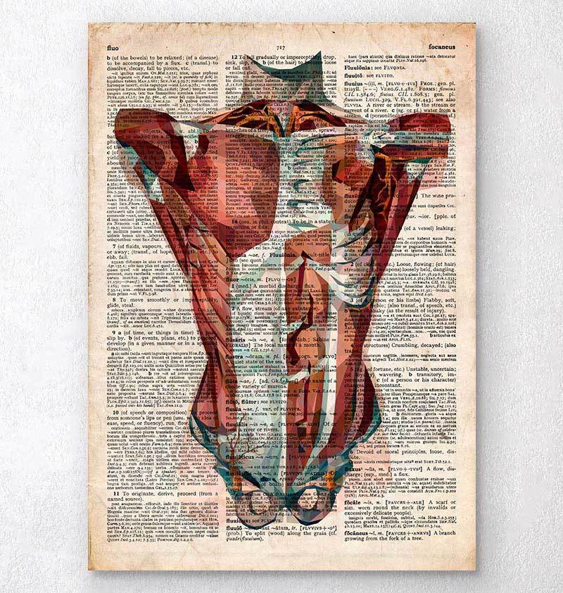Human torso anatomy