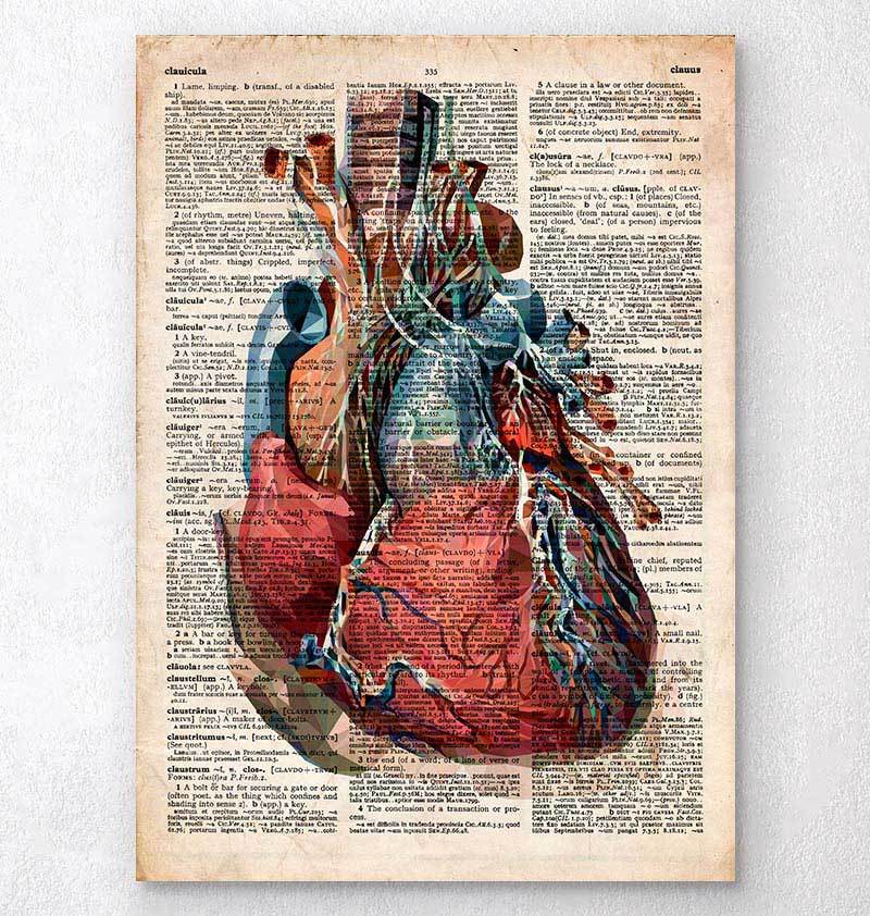 Heart anatomy dictionary print