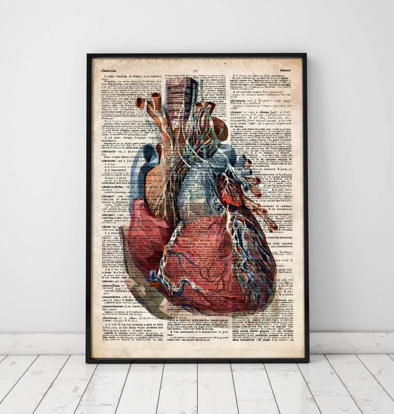 Geometric heart anatomy on old dictionary page