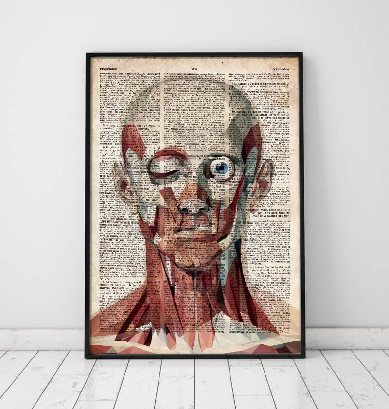 Geometric face anatomy - Old dictionary page - Codex Anatomicus