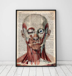 Geometric face anatomy poster on old dictionary page