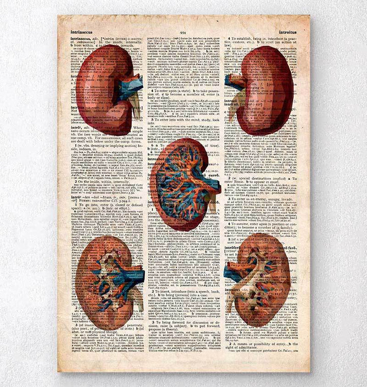 Geometric kidney dictionary print