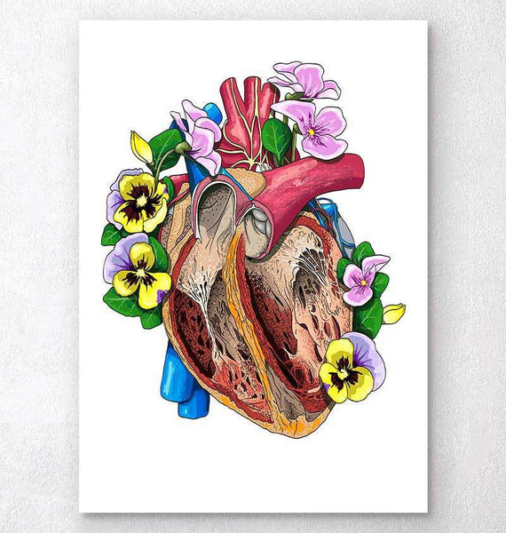 Heart with flowers poster - Anatomicus Codex